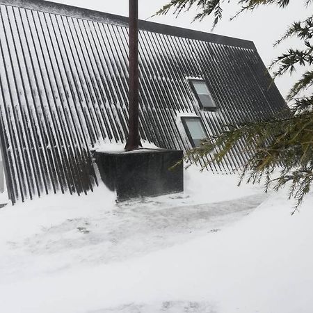 Chale Acolhedor - Penhas Da Saude - Serra Da Estrela Covilhã Εξωτερικό φωτογραφία